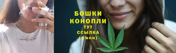 крисы Арсеньев